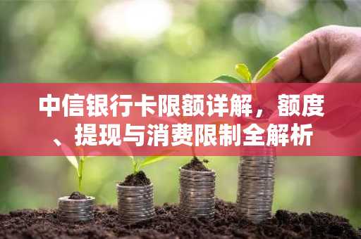 中信银行卡限额详解,额度、提现与消费限制全解析