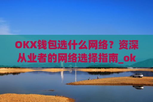 OKX钱包选什么网络?资深从业者的网络选择指南_okexchina钱包