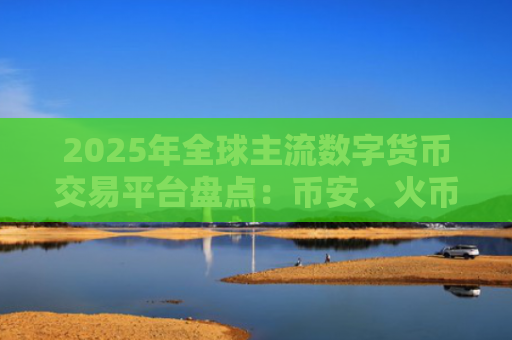 2025年全球主流数字货币交易平台盘点:币安、火币、OKEx等平台全面解析
