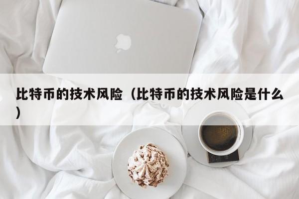 比特币的技术风险(比特币的技术风险是什么)