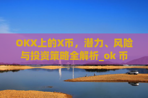 OKX上的X币,潜力、风险与投资策略全解析_ok 币