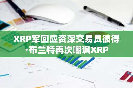 XRP军回应资深交易员彼得·布兰特再次嘲讽XRP