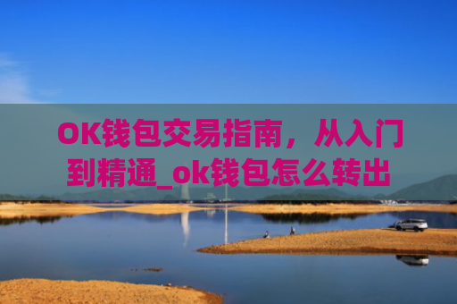 OK钱包交易指南,从入门到精通_ok钱包怎么转出
