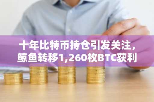 十年比特币持仓引发关注,鲸鱼转移1,260枚BTC获利达12,000%