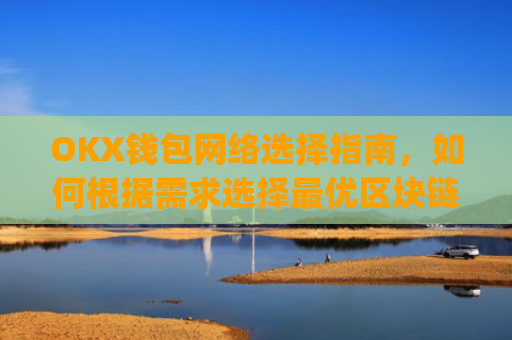 OKX钱包网络选择指南,如何根据需求选择最优区块链网络_okexchina钱包