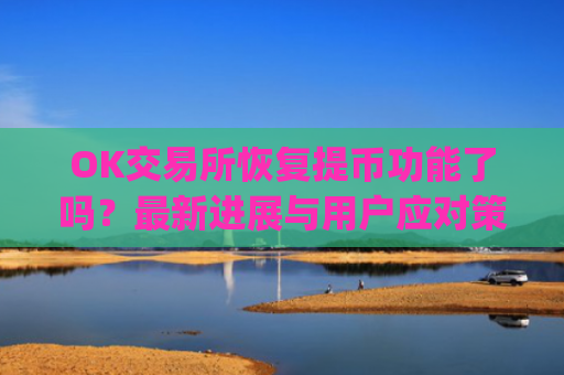 OK交易所恢复提币功能了吗?最新进展与用户应对策略解析_ok交易所可以提币了吗