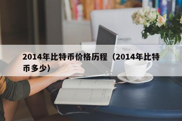 2014年比特币价格历程(2014年比特币多少)