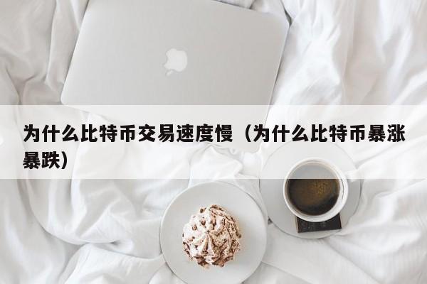 为什么比特币交易速度慢(为什么比特币暴涨暴跌)