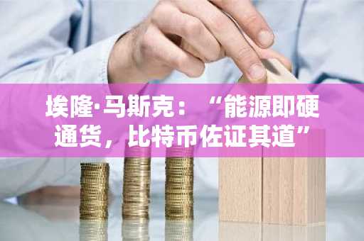 埃隆·马斯克：“能源即硬通货，比特币佐证其道”