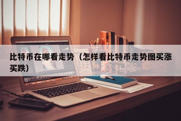 比特币在哪看走势(怎样看比特币走势图买涨买跌)