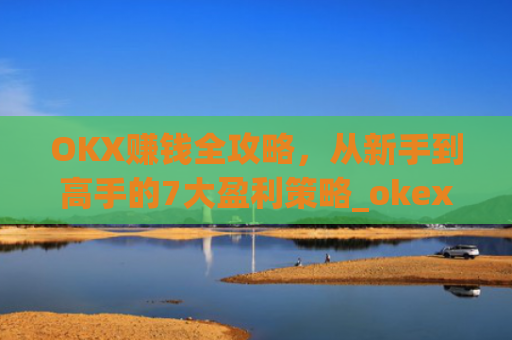 OKX赚钱全攻略,从新手到高手的7大盈利策略_okex是怎么赚钱的