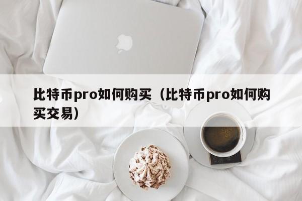 比特币pro如何购买(比特币pro如何购买交易)
