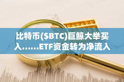 比特币($BTC)巨鲸大举买入……ETF资金转为净流入,散户持续观望
