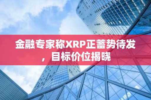 金融专家称XRP正蓄势待发，目标价位揭晓