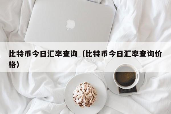比特币今日汇率查询(比特币今日汇率查询价格)