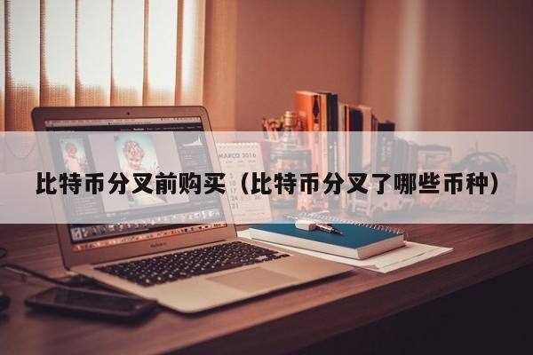 比特币分叉前购买(比特币分叉了哪些币种)