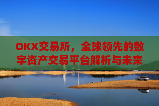 OKX交易所，全球领先的数字资产交易平台解析与未来展望_okx交易所怎么设置中文