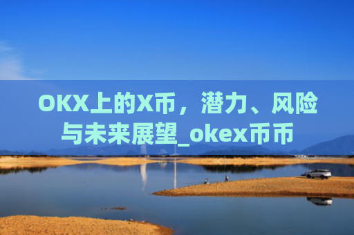 OKX上的X币,潜力、风险与未来展望_okex币币