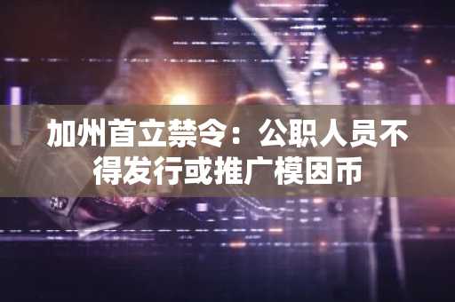 加州首立禁令:公职人员不得发行或推广模因币