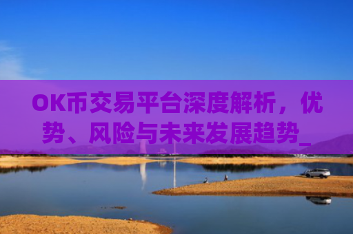 OK币交易平台深度解析,优势、风险与未来发展趋势_