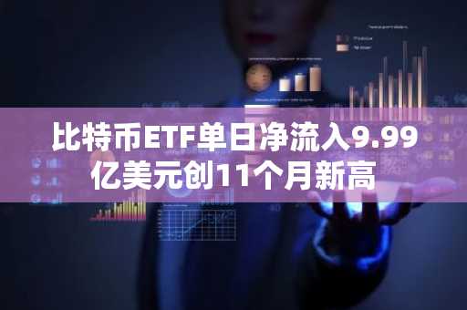 比特币ETF单日净流入9.99亿美元创11个月新高