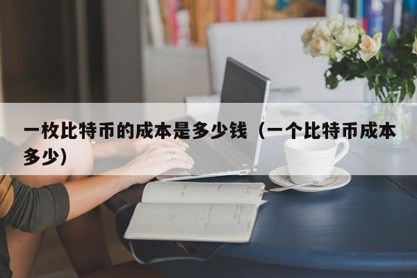 一枚比特币的成本是多少钱(一个比特币成本多少)