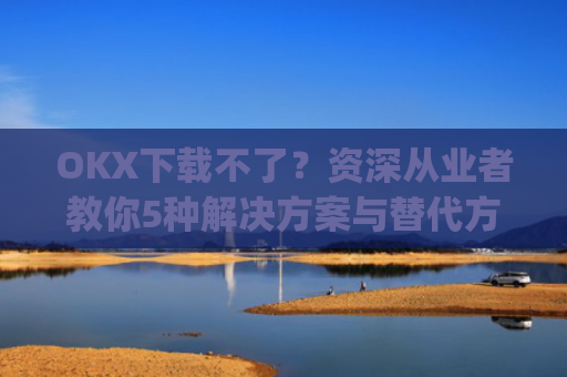 OKX下载不了?资深从业者教你5种解决方案与替代方案_okex安装不了