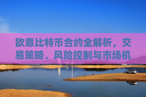 欧意比特币合约全解析,交易策略、风险控制与市场机遇_欧比特合约交易所