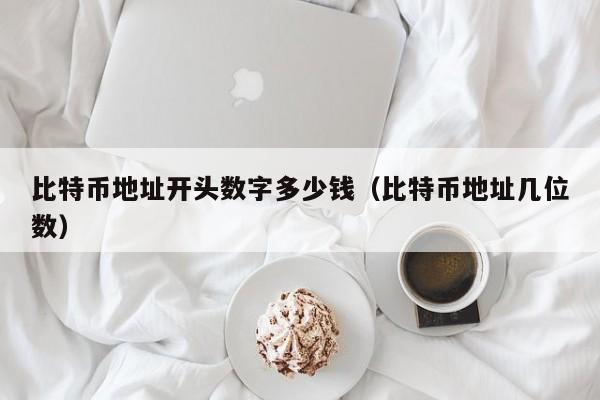 比特币地址开头数字多少钱(比特币地址几位数)