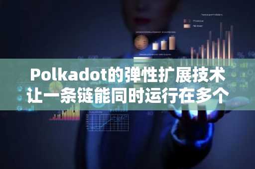 Polkadot的弹性扩展技术让一条链能同时运行在多个核心上