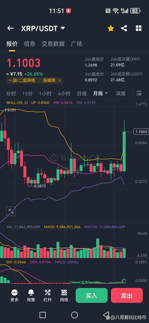 R币行情分析,价格波动解析及市场前景展望