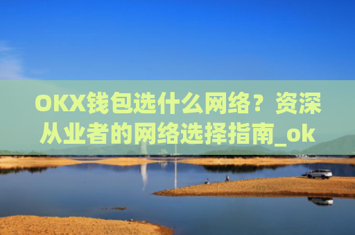 OKX钱包选什么网络?资深从业者的网络选择指南_okex钱包属于什么类型