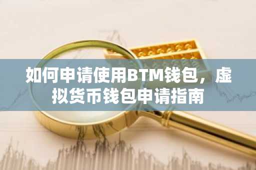 如何申请使用BTM钱包,虚拟货币钱包申请指南