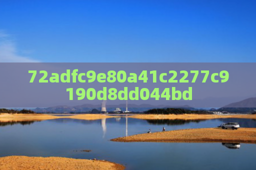 72adfc9e80a41c2277c9190d8dd044bd