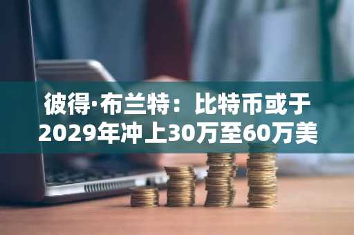 彼得·布兰特：比特币或于2029年冲上30万至60万美元