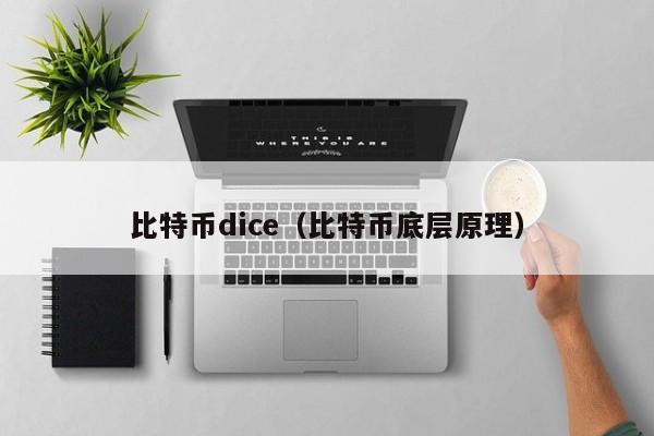 比特币dice(比特币底层原理)