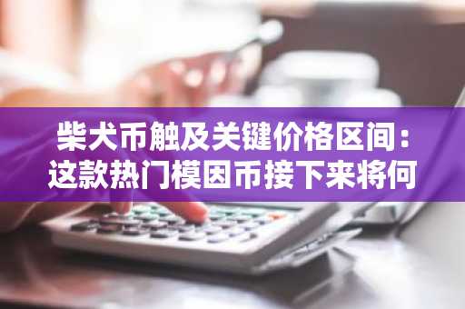柴犬币触及关键价格区间:这款热门模因币接下来将何去何从?