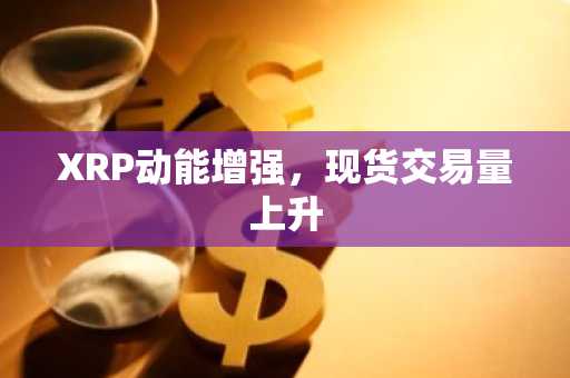 XRP动能增强,现货交易量上升