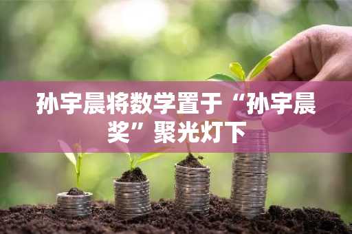 孙宇晨将数学置于“孙宇晨奖”聚光灯下