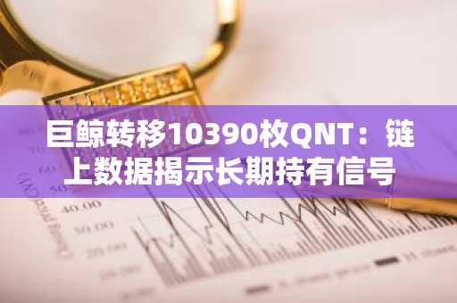 巨鲸转移10390枚QNT:链上数据揭示长期持有信号