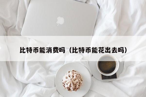 比特币能消费吗(比特币能花出去吗)
