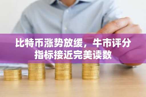 比特币涨势放缓，牛市评分指标接近完美读数